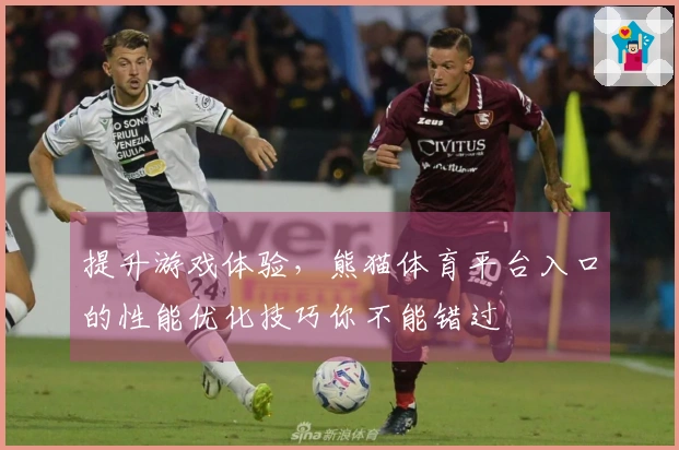 提升游戏体验，熊猫体育平台入口的性能优化技巧你不能错过
