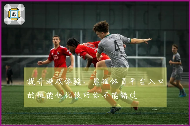 提升游戏体验，熊猫体育平台入口的性能优化技巧你不能错过