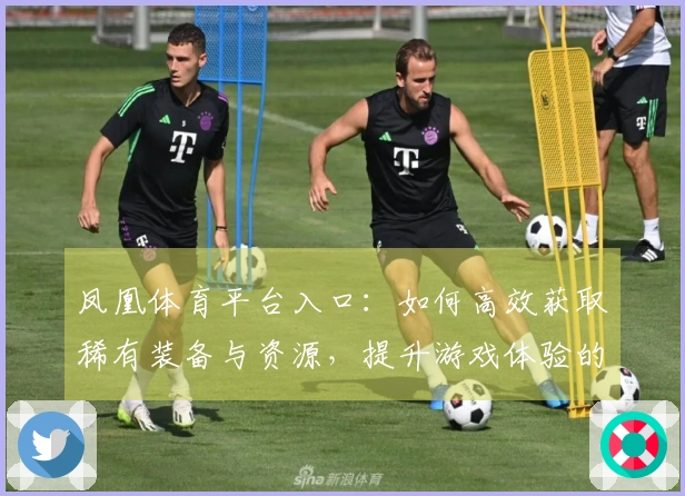 凤凰体育平台入口：如何高效获取稀有装备与资源，提升游戏体验的秘诀分享